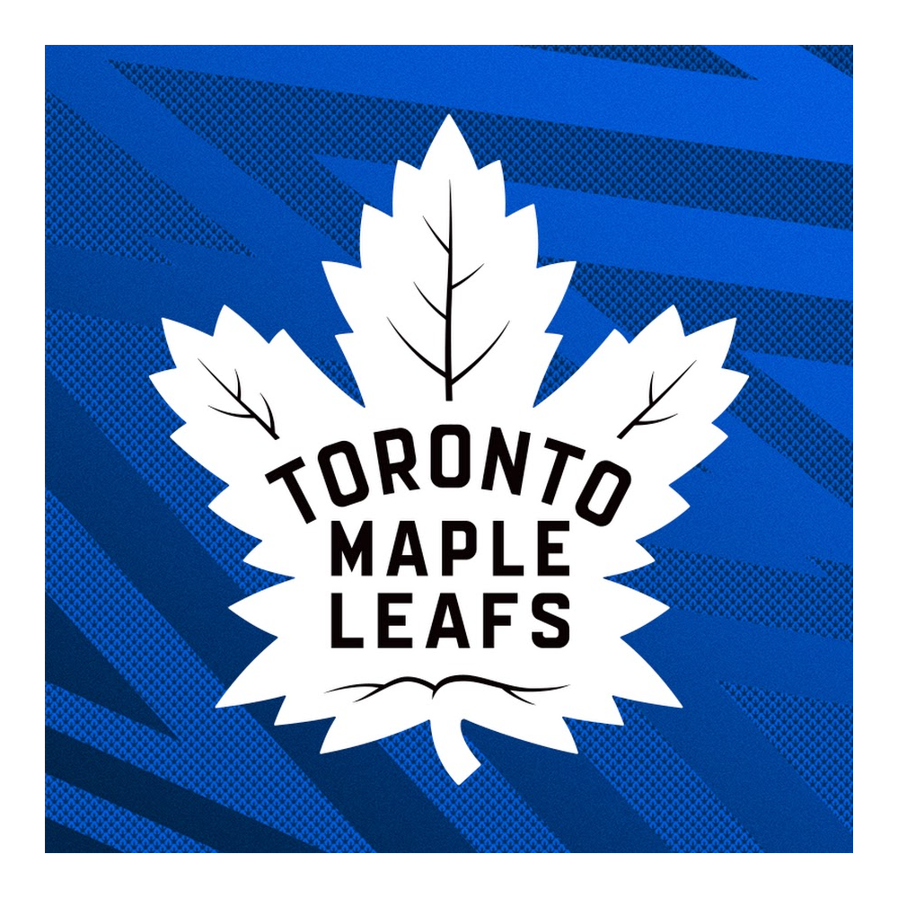 Pair of tickets Toronto Maple Leafs Vs Anaheim Ducks Tuesday Dec 13th 7:00pm