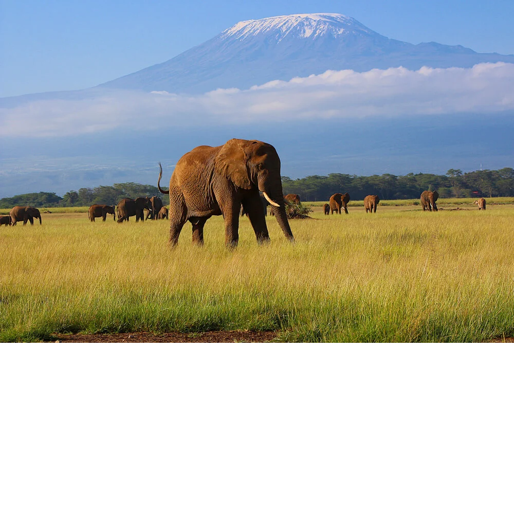 Africa | 5 Days Safari package in Kenya for 2 pax