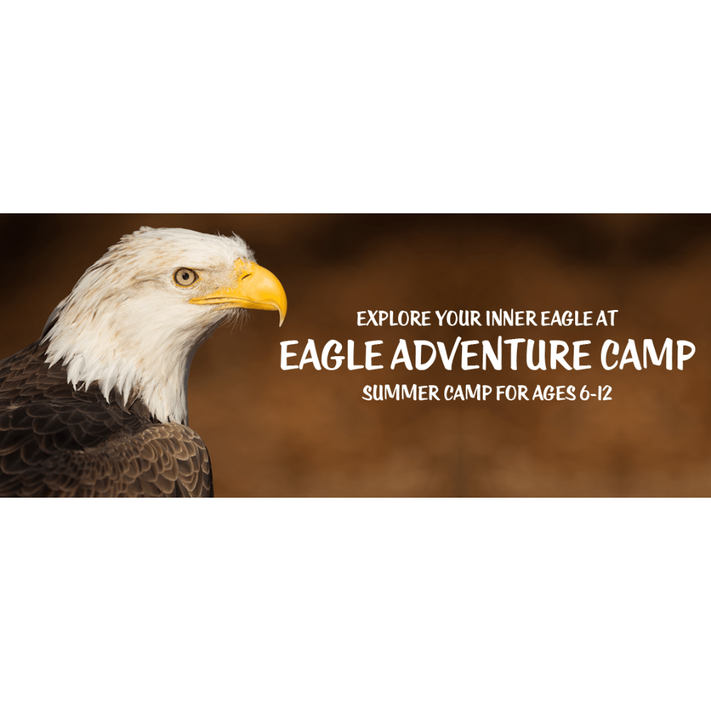 Tuition to Eagle Adventure Camp for One Child