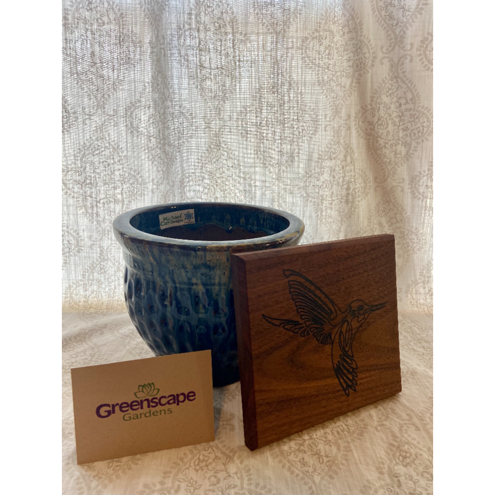 Greenscape Gardens & Soulcraft Makers gift bundle: Greenscape gift certificate, beautiful ceramic flower pot, & Handcrafted Humming Bird Wall Hanging by Ferguson's own Soulcraft Makers