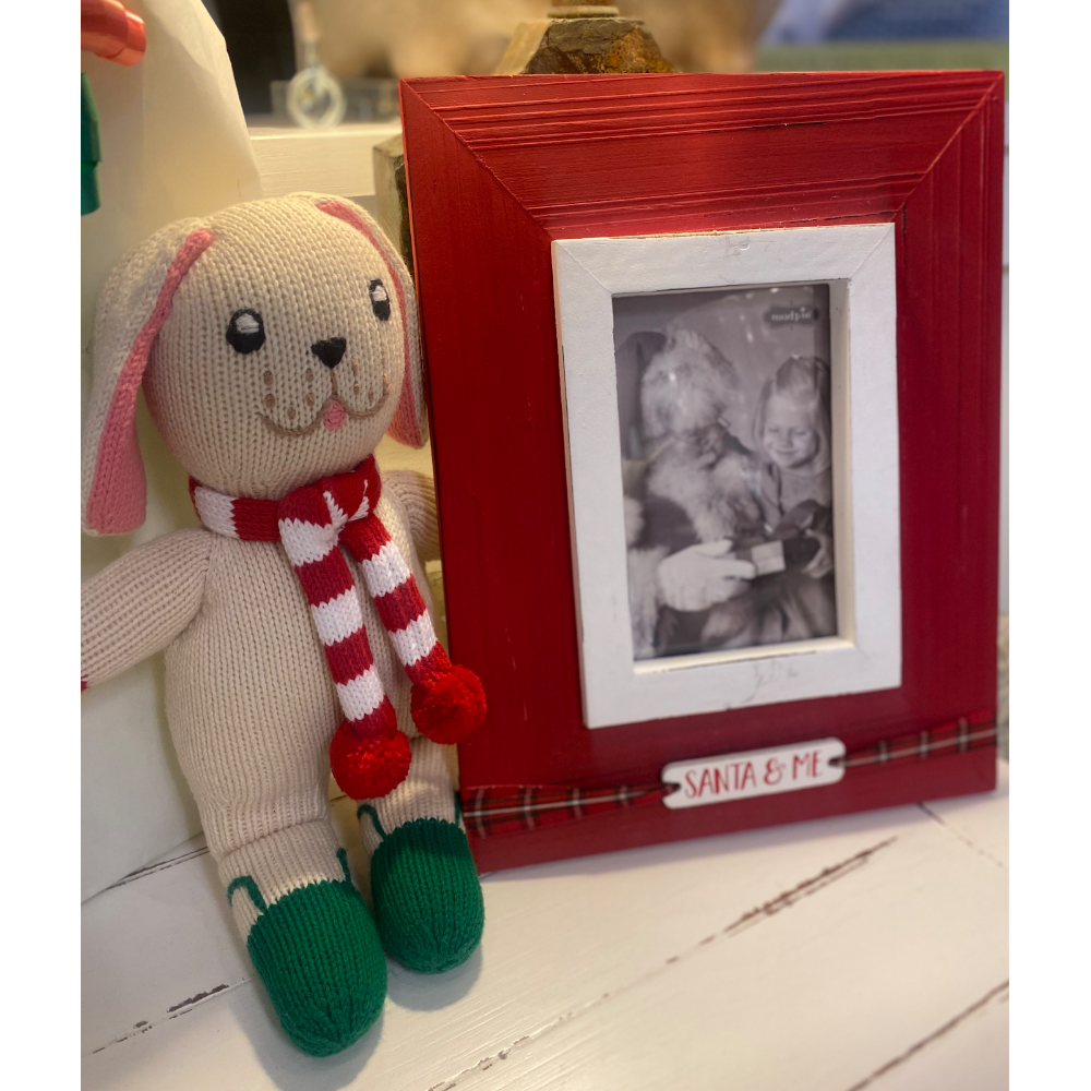 Stuffie and Picture Frame 