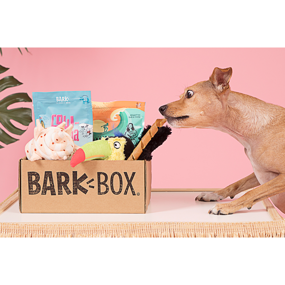 Barkbox 