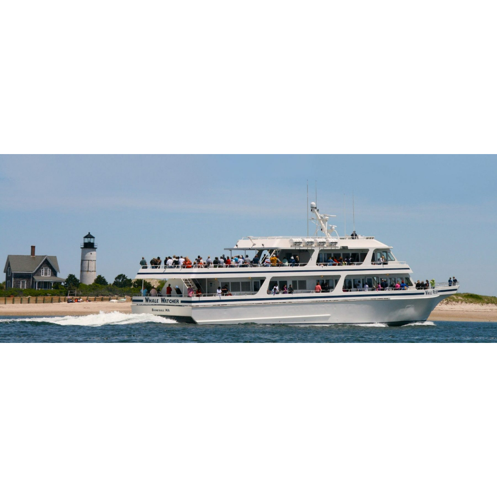 $150 Certficate for Hyannis Whale Watcher Cruises 