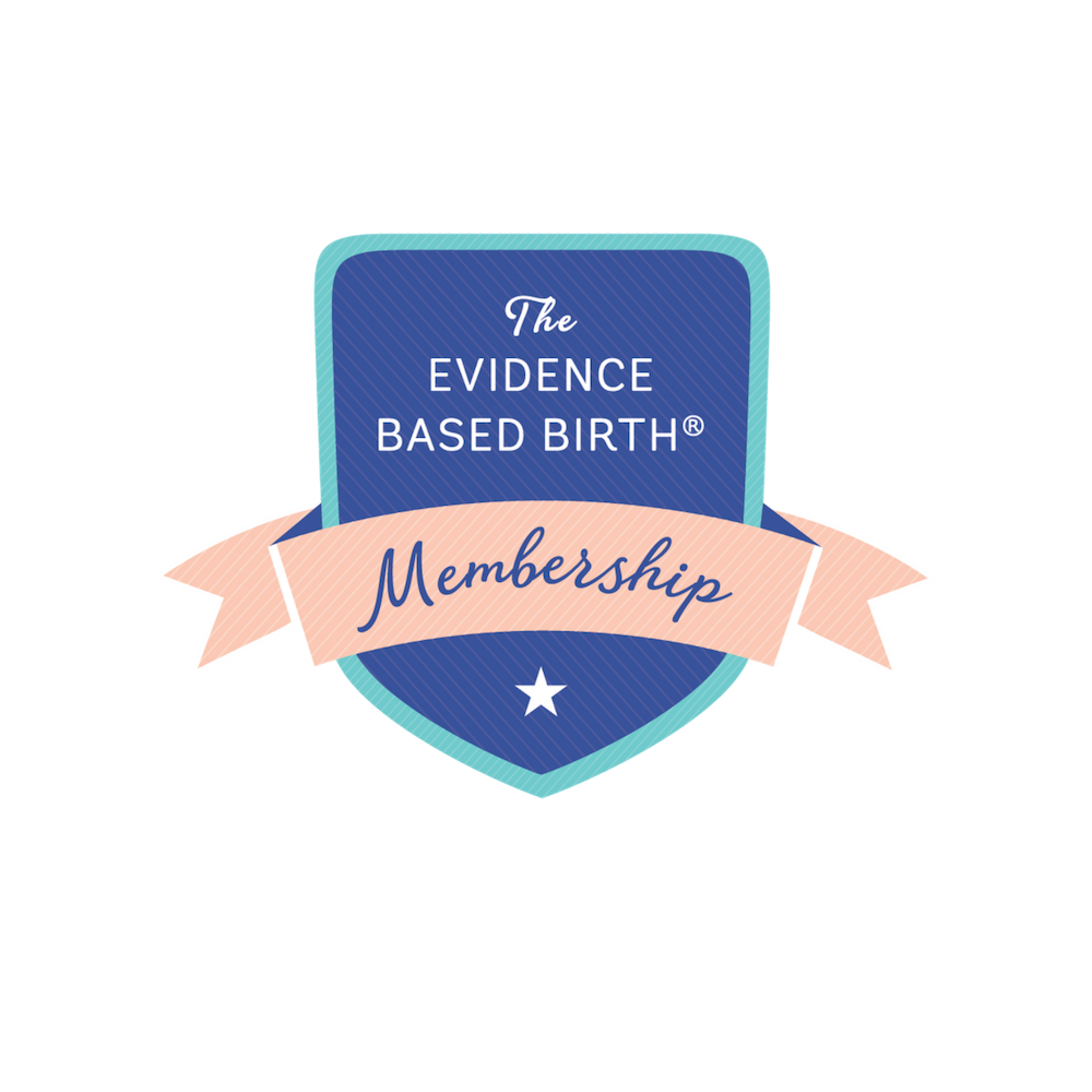 EBB Professional Membership w/Doula Mentorship