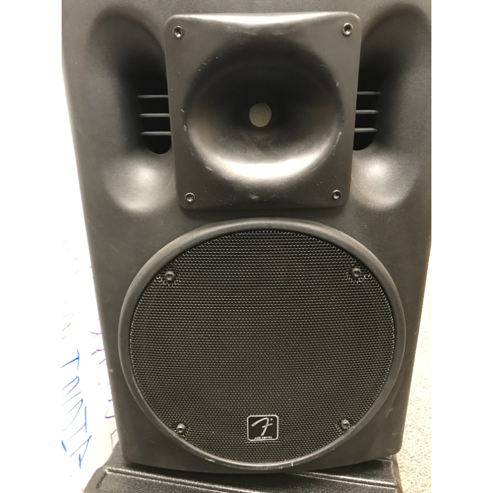 Fender ACE-2012 Speaker Pair