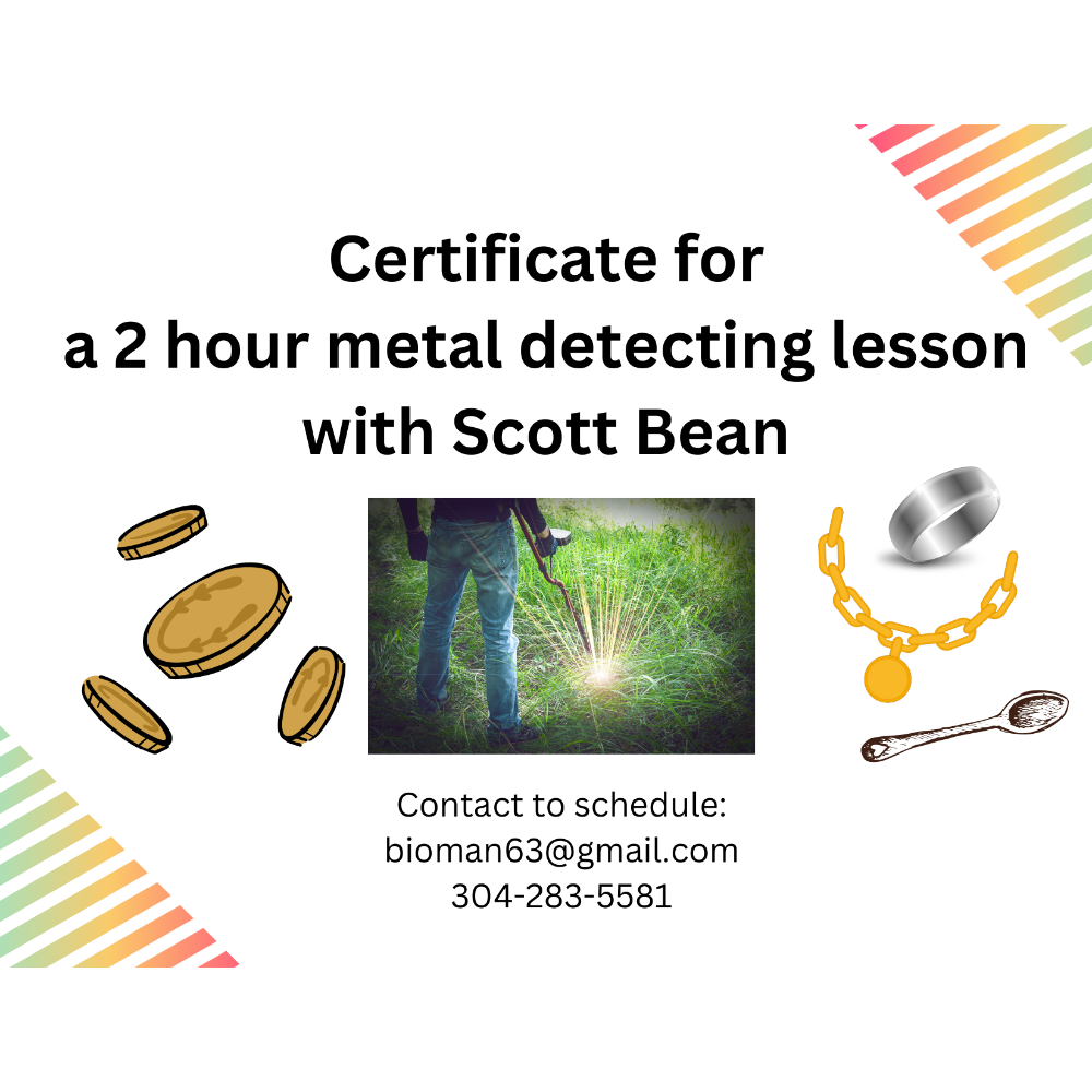 The "Art" of Metal Detecting: 2 hour lesson