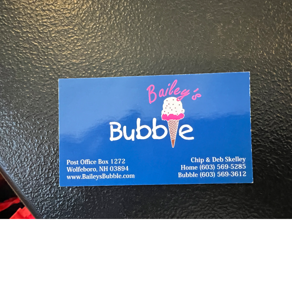 BiddingOwl Gunstock Ski Club Auction