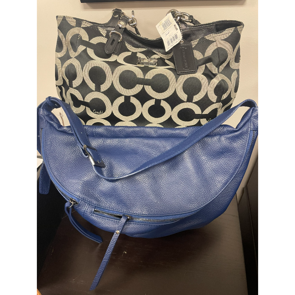 BiddingOwl Pathfinders for Autism Auction