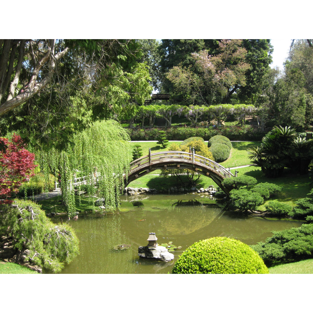 Huntington Library And Gardens For Two Again