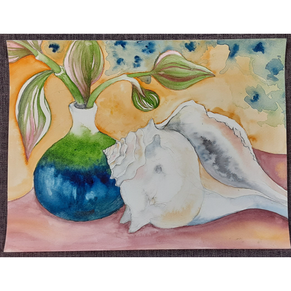 Conch Shell, Watercolor