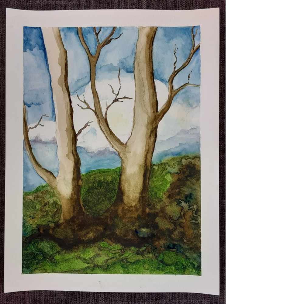 Bare Trees, watercolor