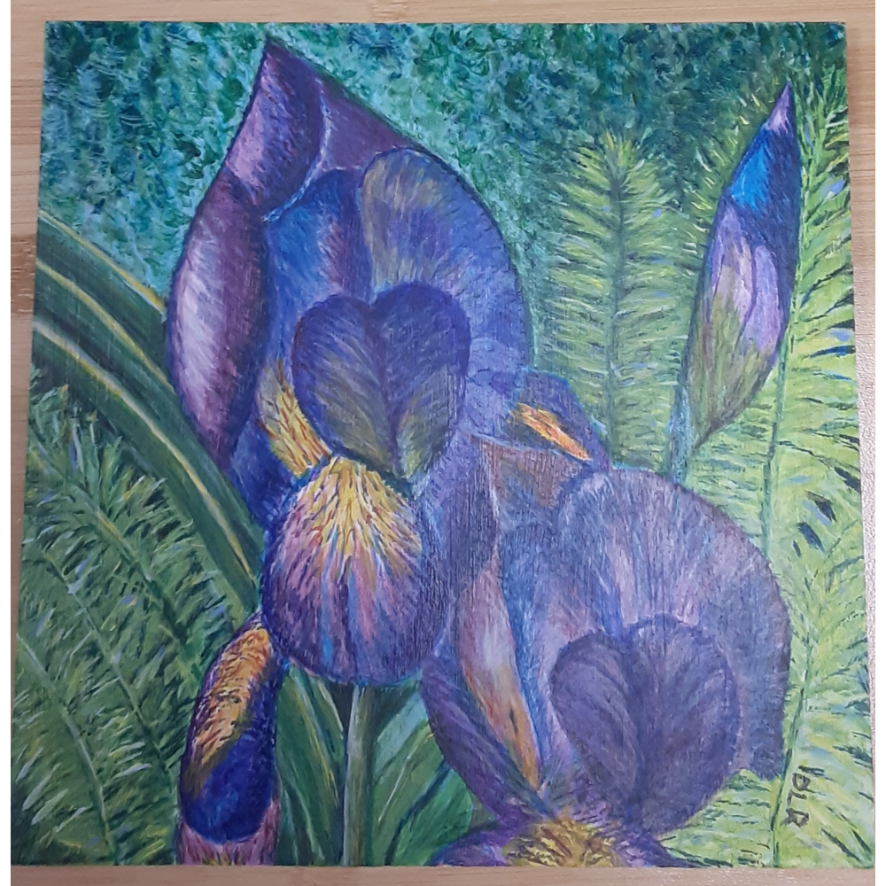 Blue Iris, acrylic