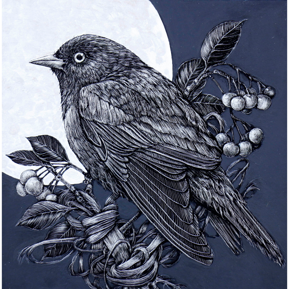 Brewer's Blackbird | Jan Duschen