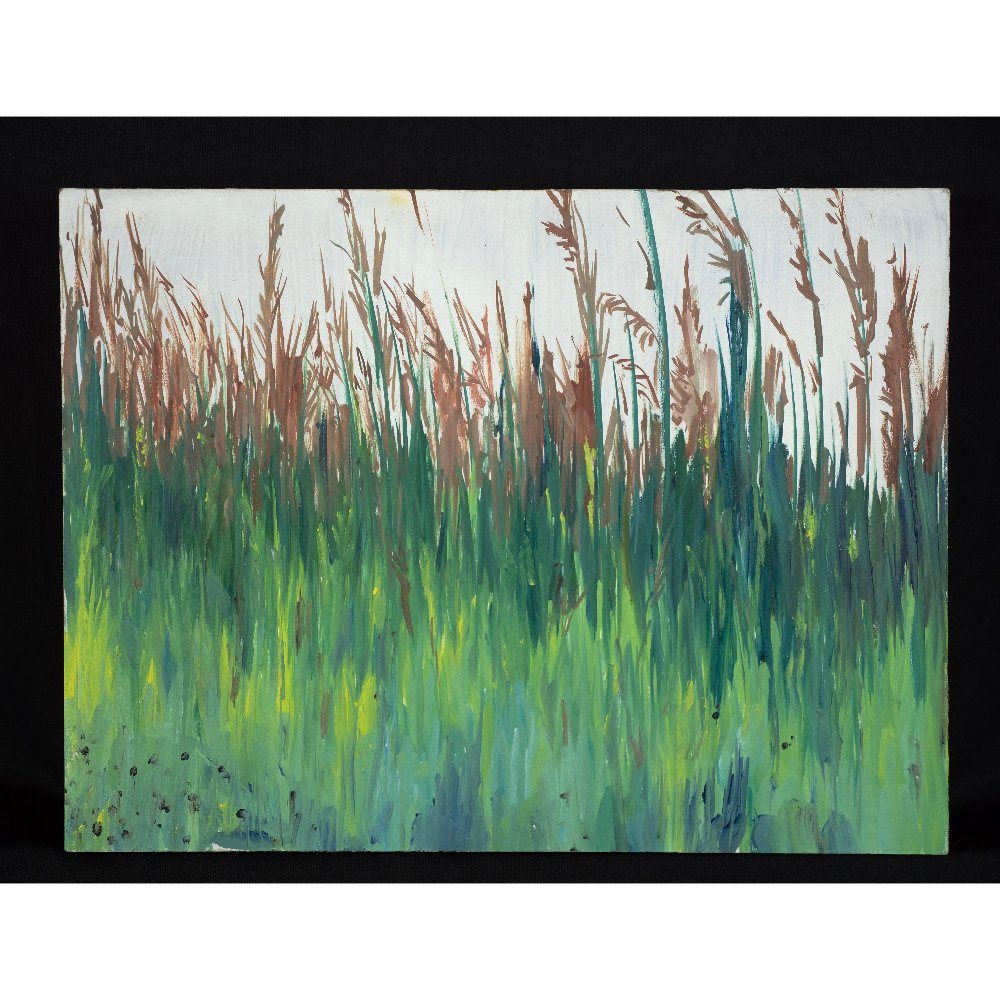 Grass at Hickory Hill | Ezra Edgerton