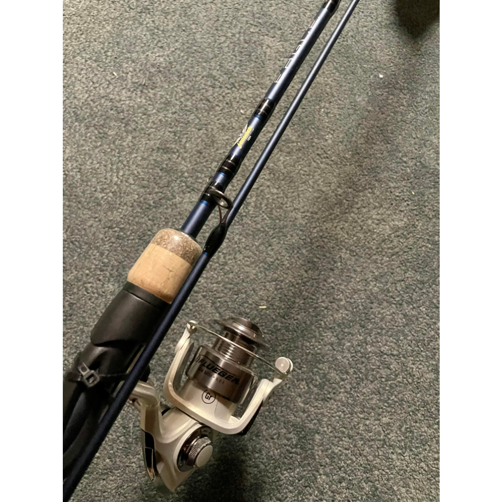 fishing rod Auctions Prices