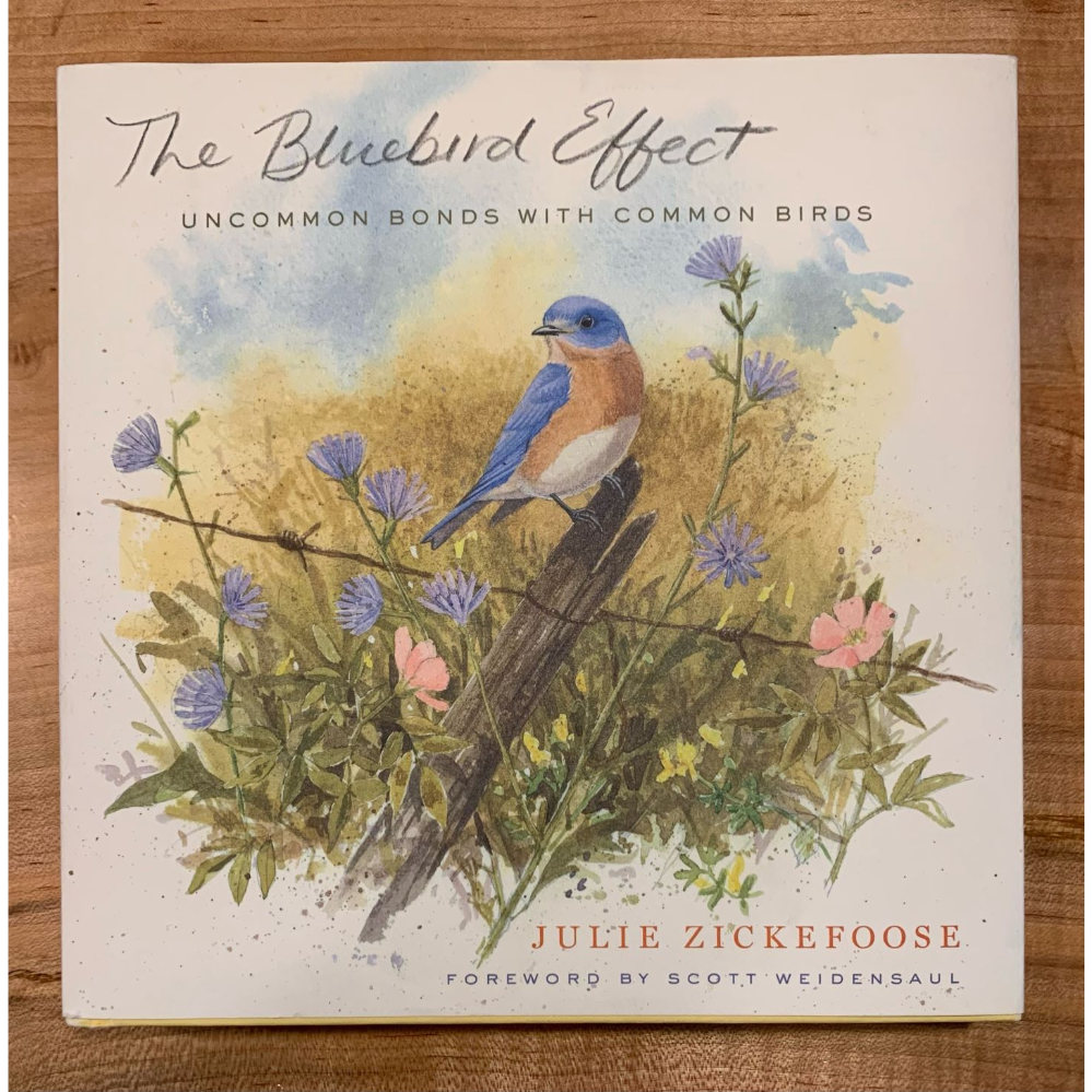 “The Bluebird Effect: Uncommon Bonds with Common Birds” by Julie Zickefoose (Hardcover)
