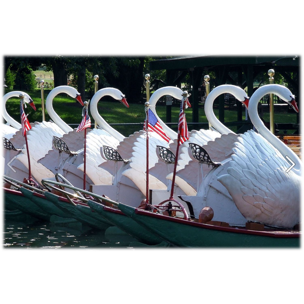 Boston Swan Boats - 4 tickets