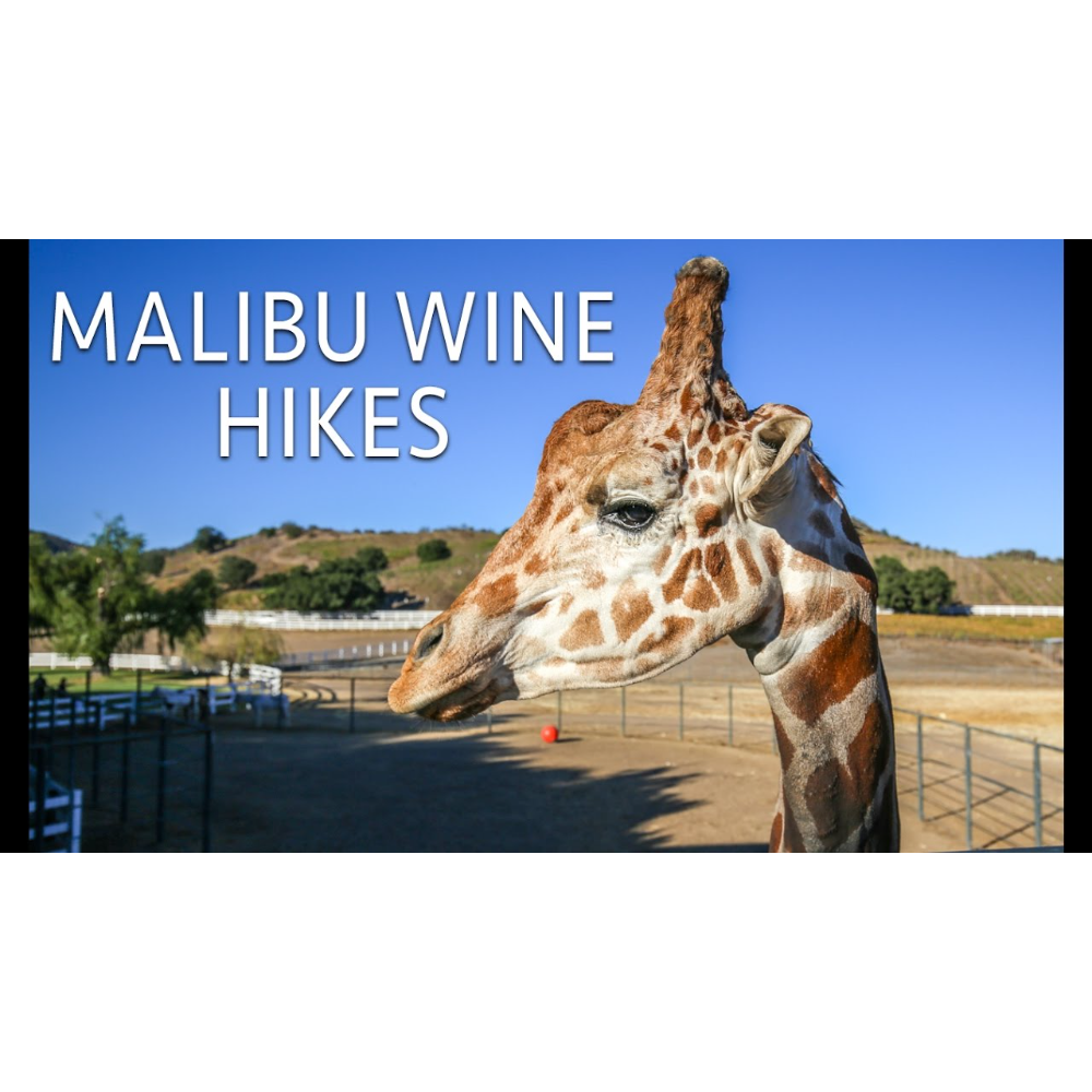 Malibu Wine Hike For Two