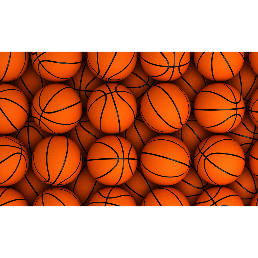 Basketball Skills Clinic with Ari Ebstein