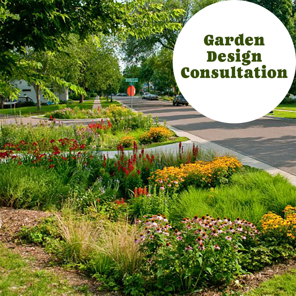Garden Design Consulation