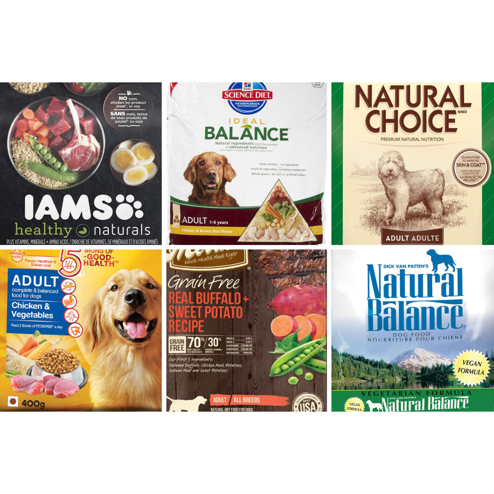 biddingowl-national-newfoundland-rescue-auction