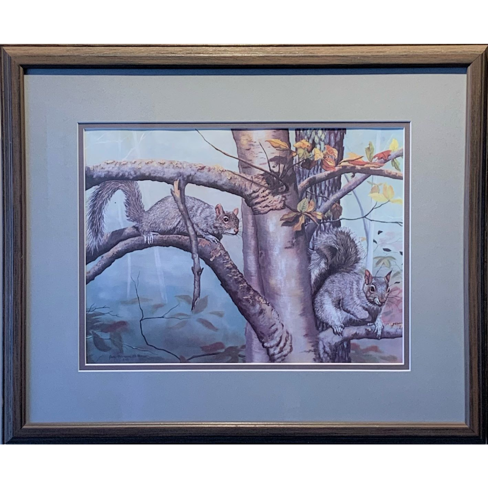 Framed Print of Two Squirrels by Judy Johnson McPherson
