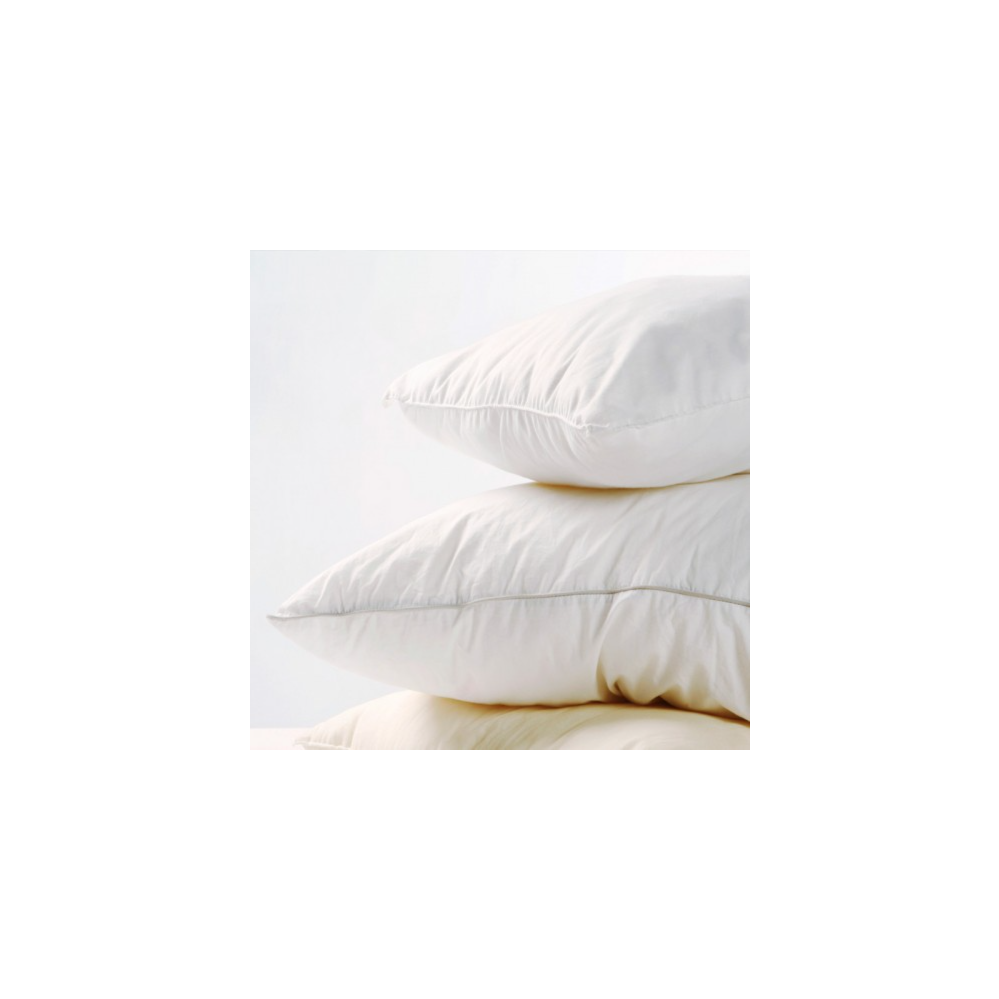 BiddingOwl Pacific Montessori Society Auction