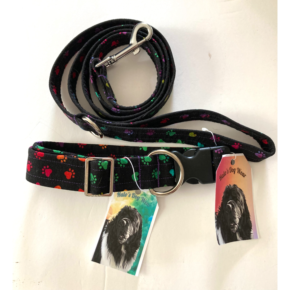 Colorful Hand Crafted Paw Print Dog Collar and Leash