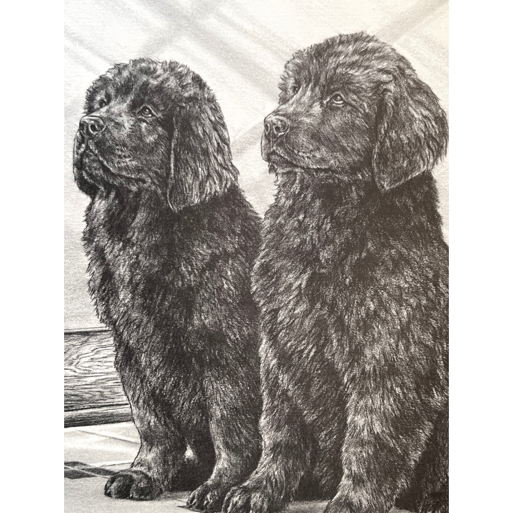 BiddingOwl - National Newfoundland Rescue Auction