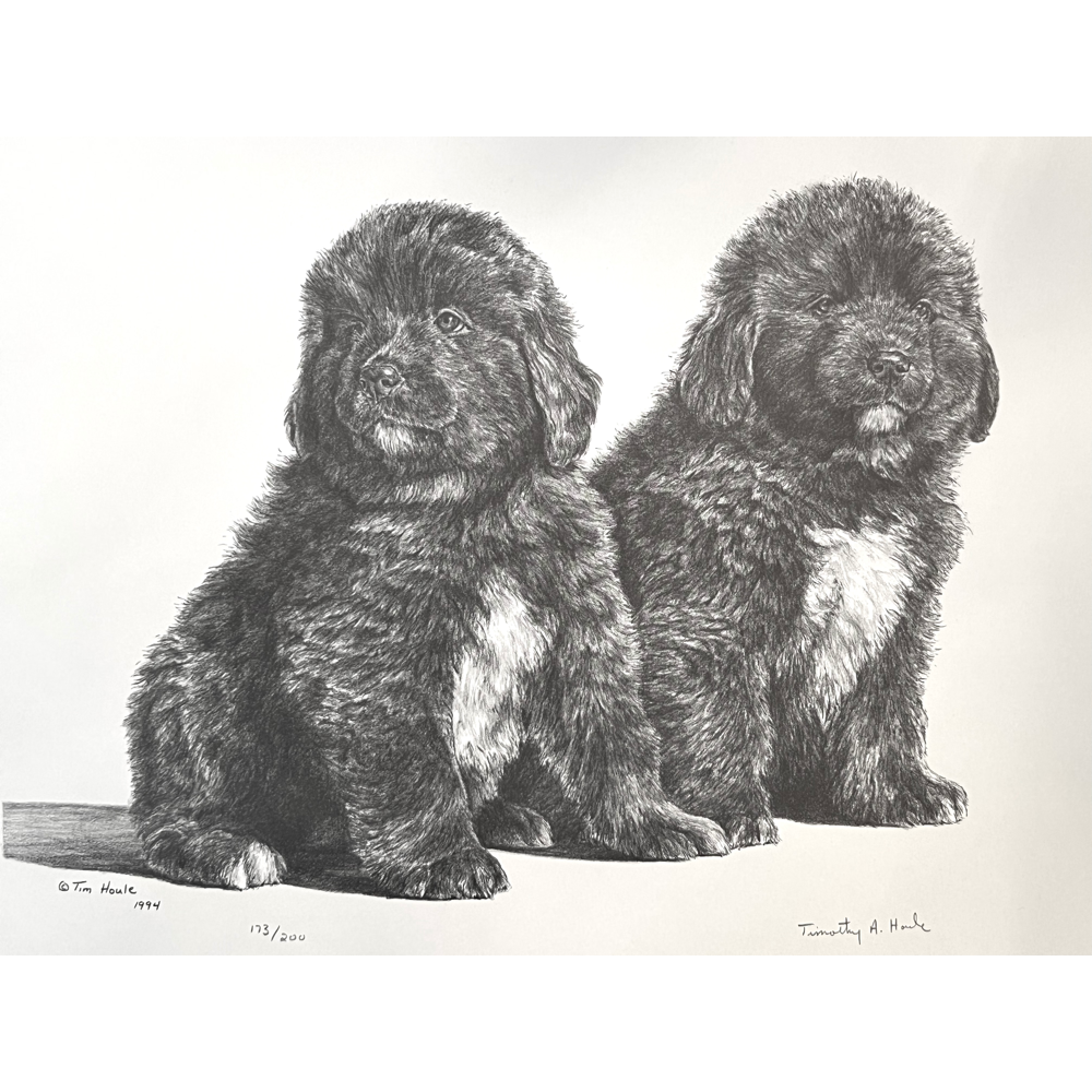 BiddingOwl - National Newfoundland Rescue Auction