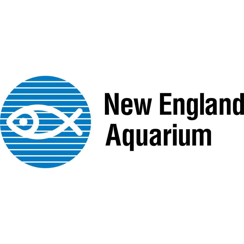 4 tickets to the New England Aquarium