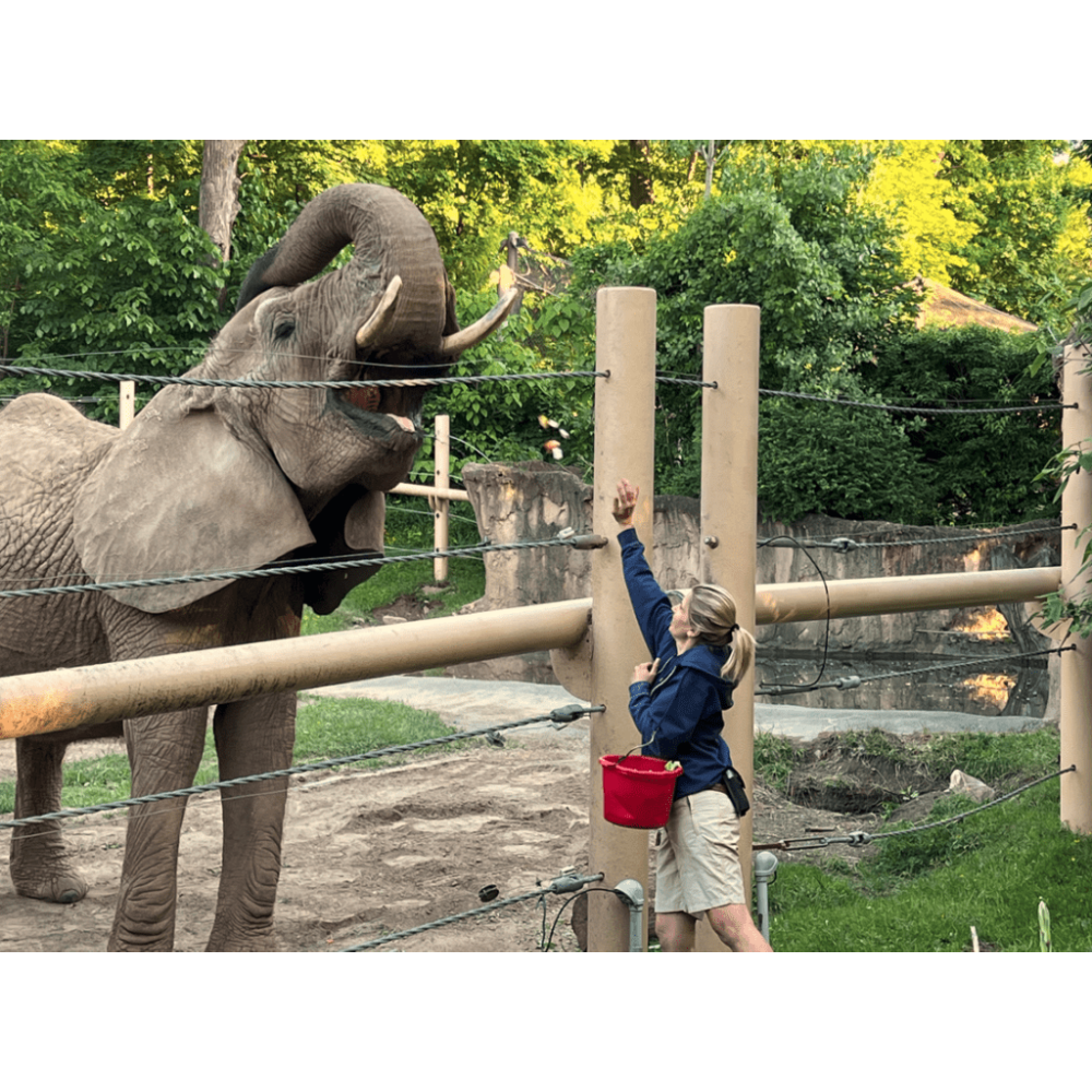 Seneca Park Zoo Annual Membership