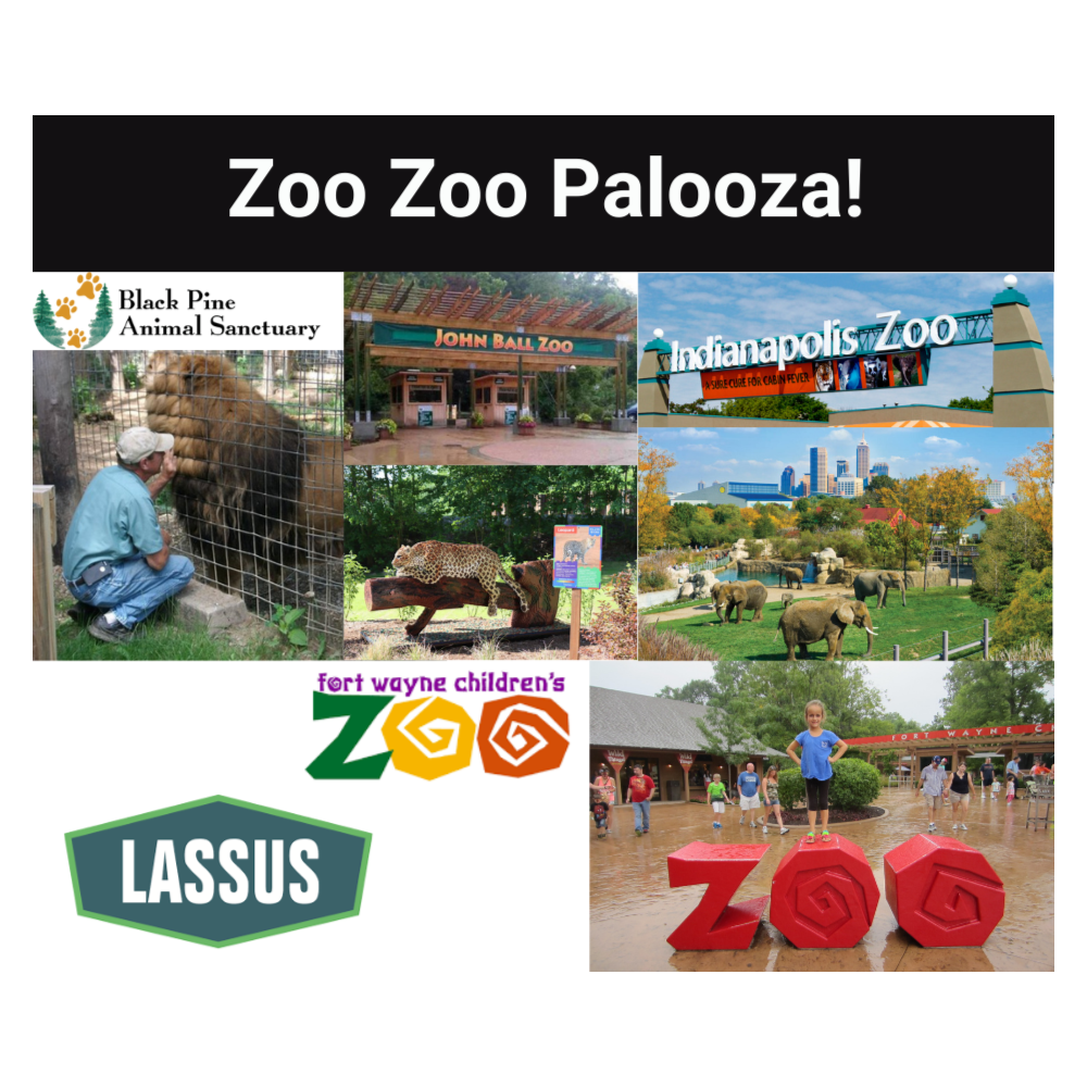 Zoo Zoo Zoo Palooza