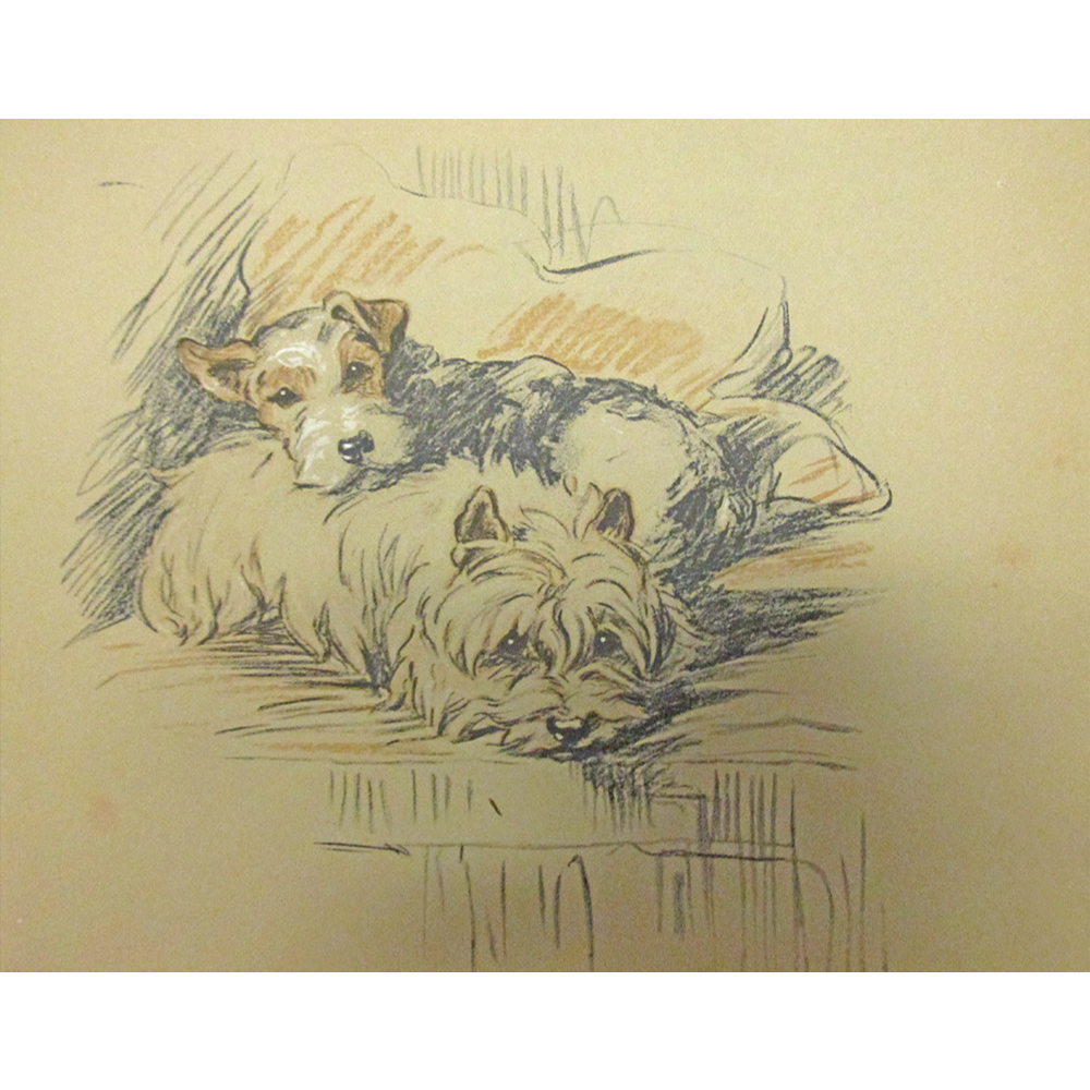 “Dogs As I See Them” Drawings