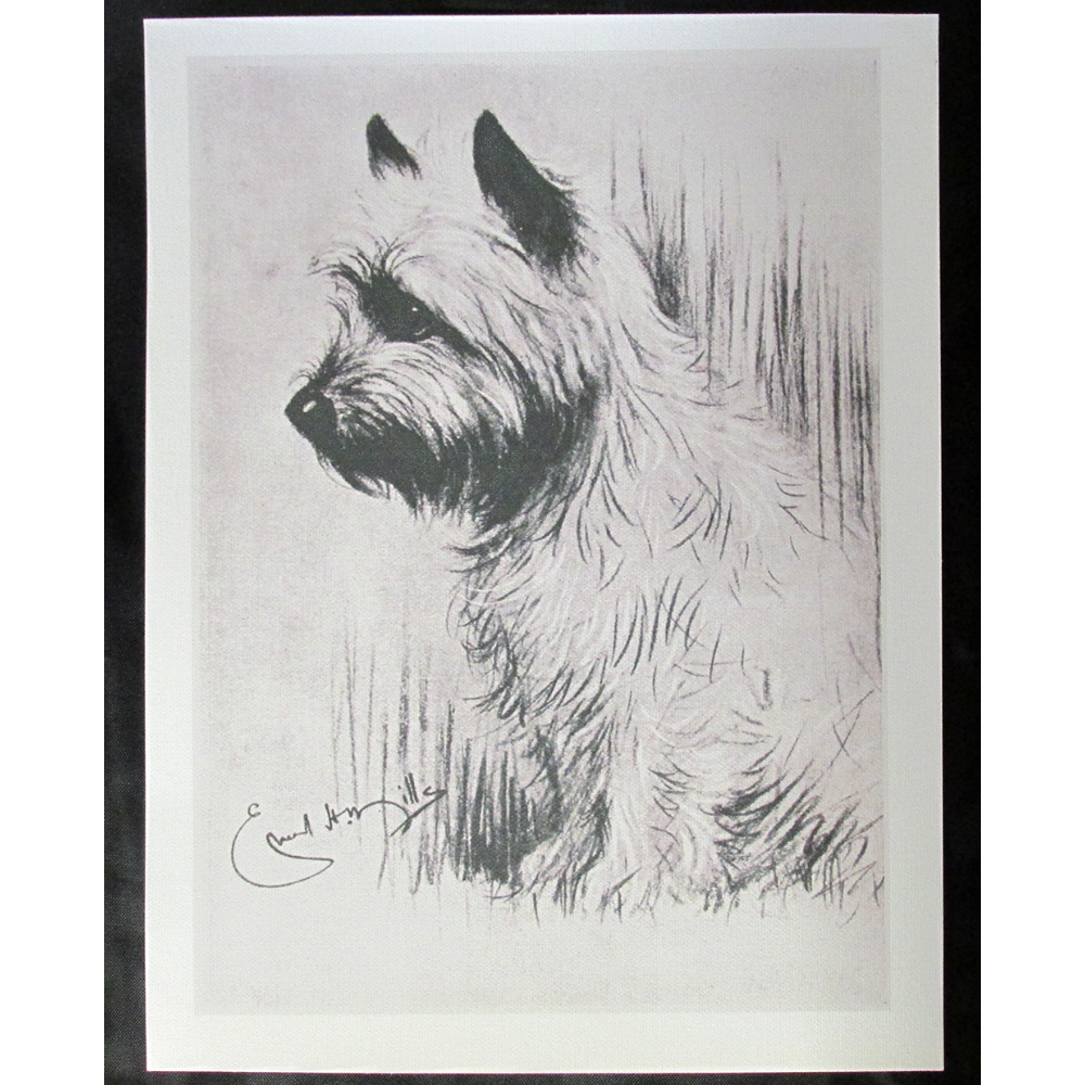 1930 Print of HHH Prince of Wales- Edward VIII’s Dog