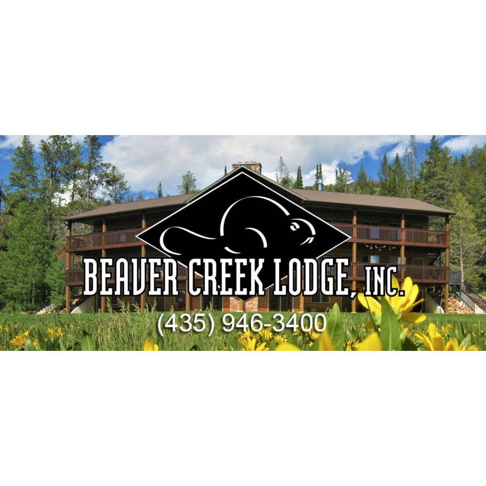 EPIC Beaver Creek Lodge 4 Hour 6 Seater UTV Rental 