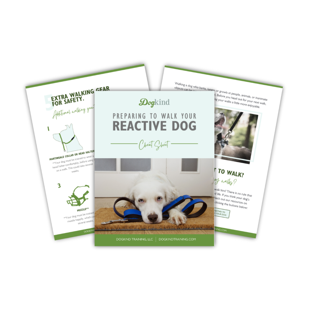 Self-paced online Dog Training Classes