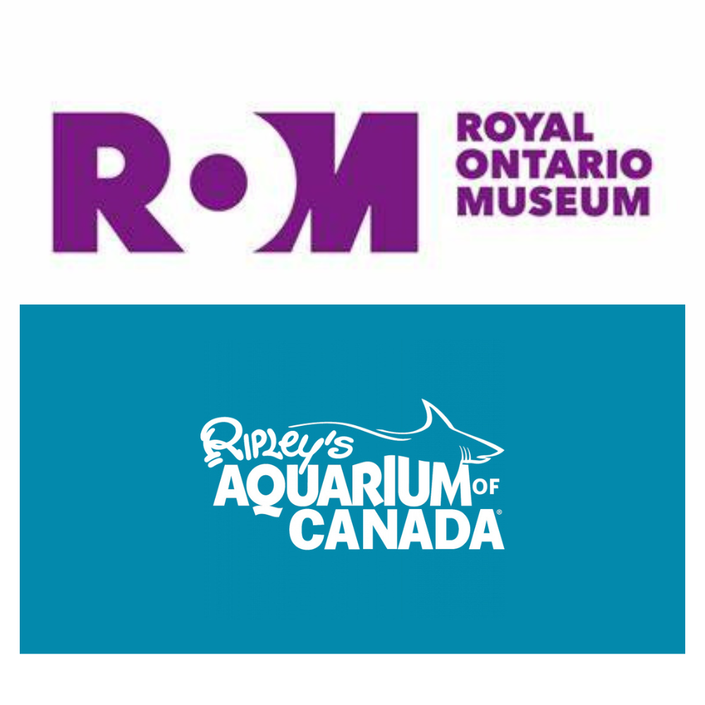 Toronto Escape # 2 - 4 Adult Express Passes - Royal Ontario Museum & Ripley's Aquarium Passes for Two Adults