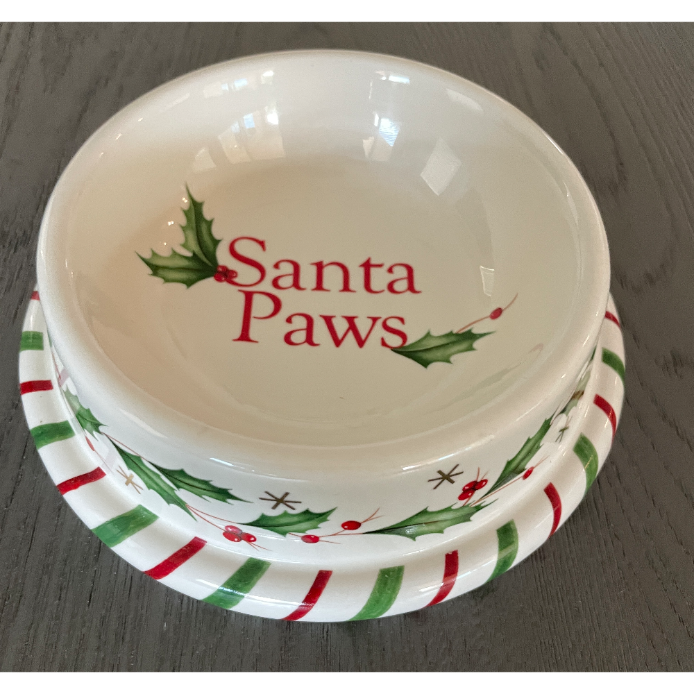 BiddingOwl HALO Havanese Rescue Auction Biddingowl halo havanese rescue auction
