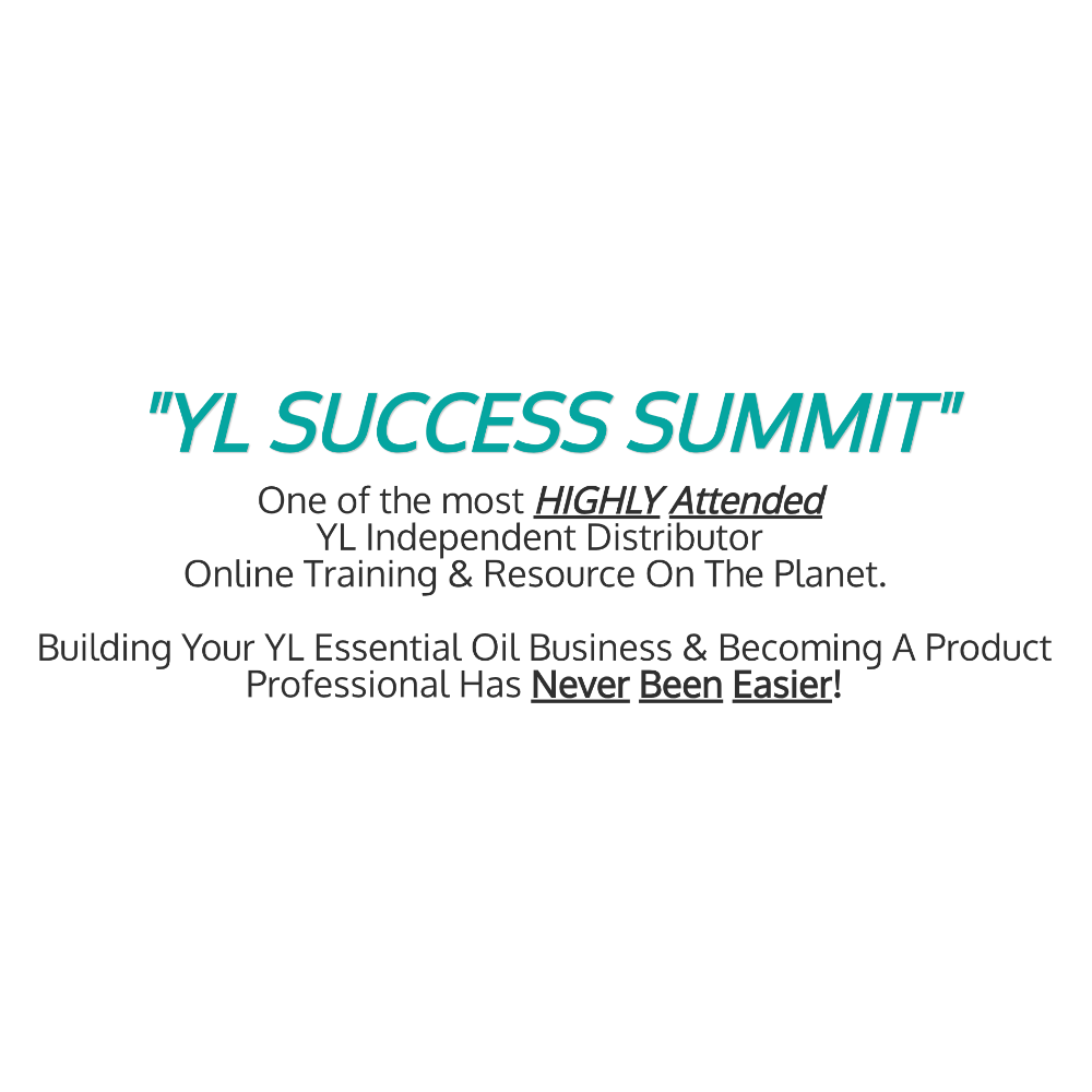 YL Summit Flash Drive (7 years of Summits!)