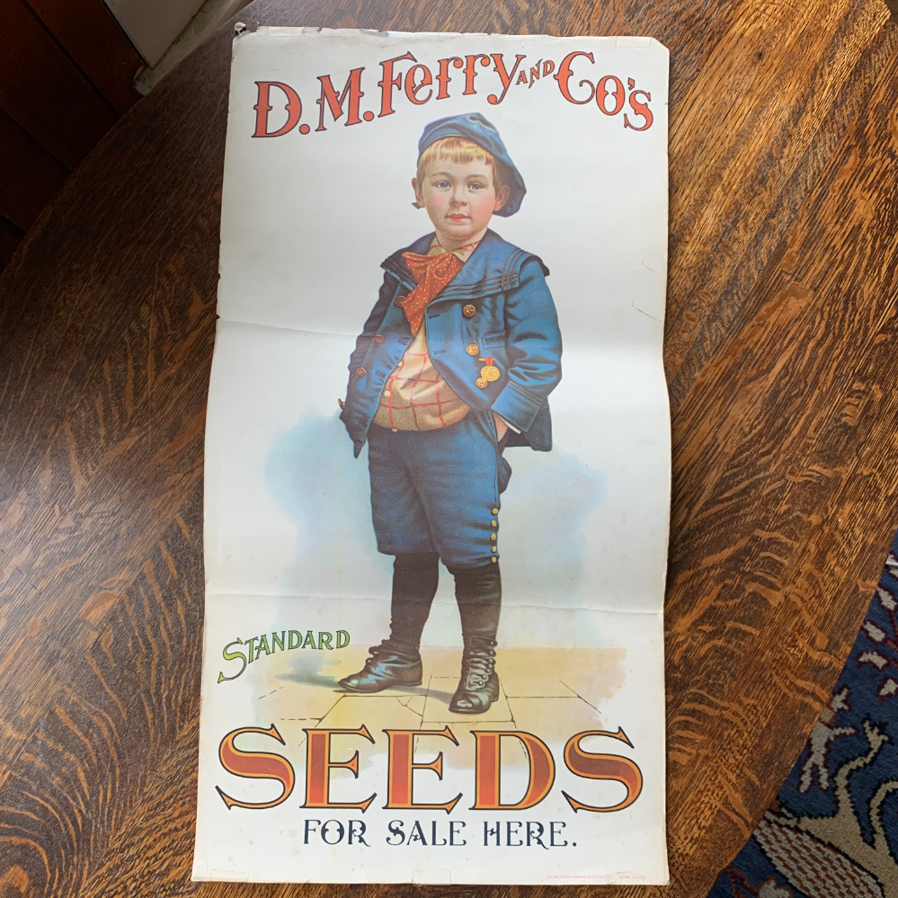 1964 VINTAGE D.M. FERRY & CO. Standard Seeds Advertising Poster
