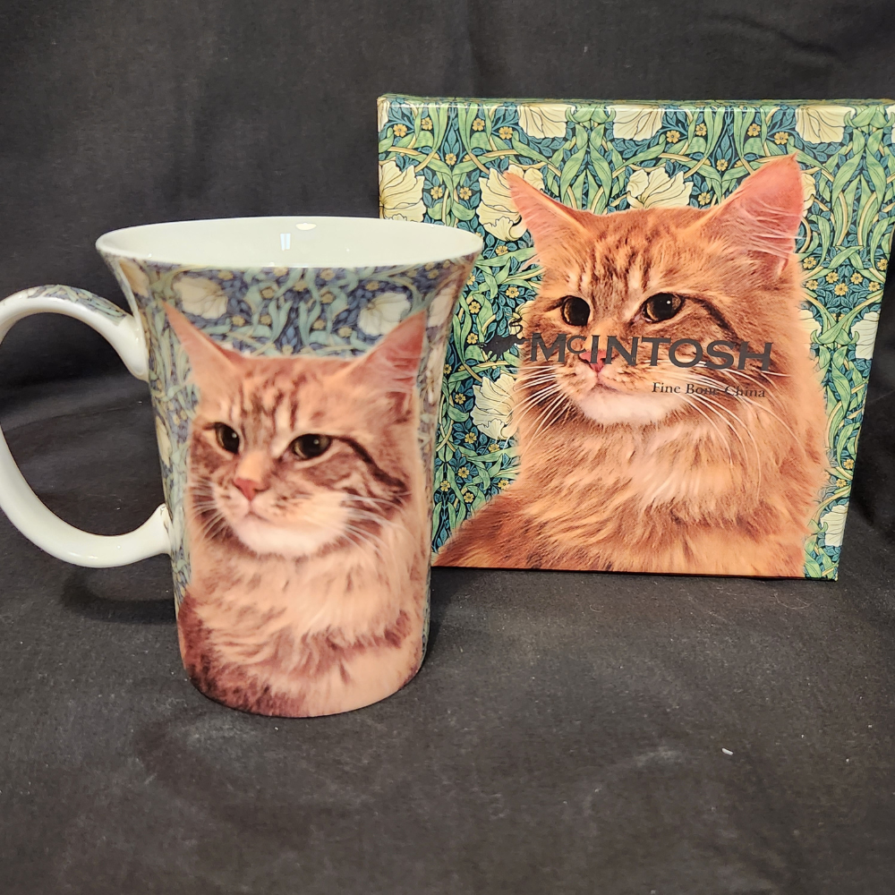 Orange Tabby Cat Tea/Coffee Mug