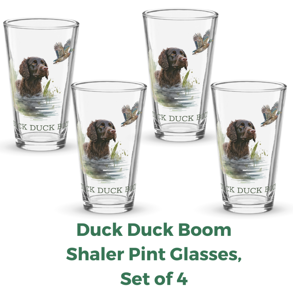 Duck Duck Boom Set of 4 Shaker Pint Glasses