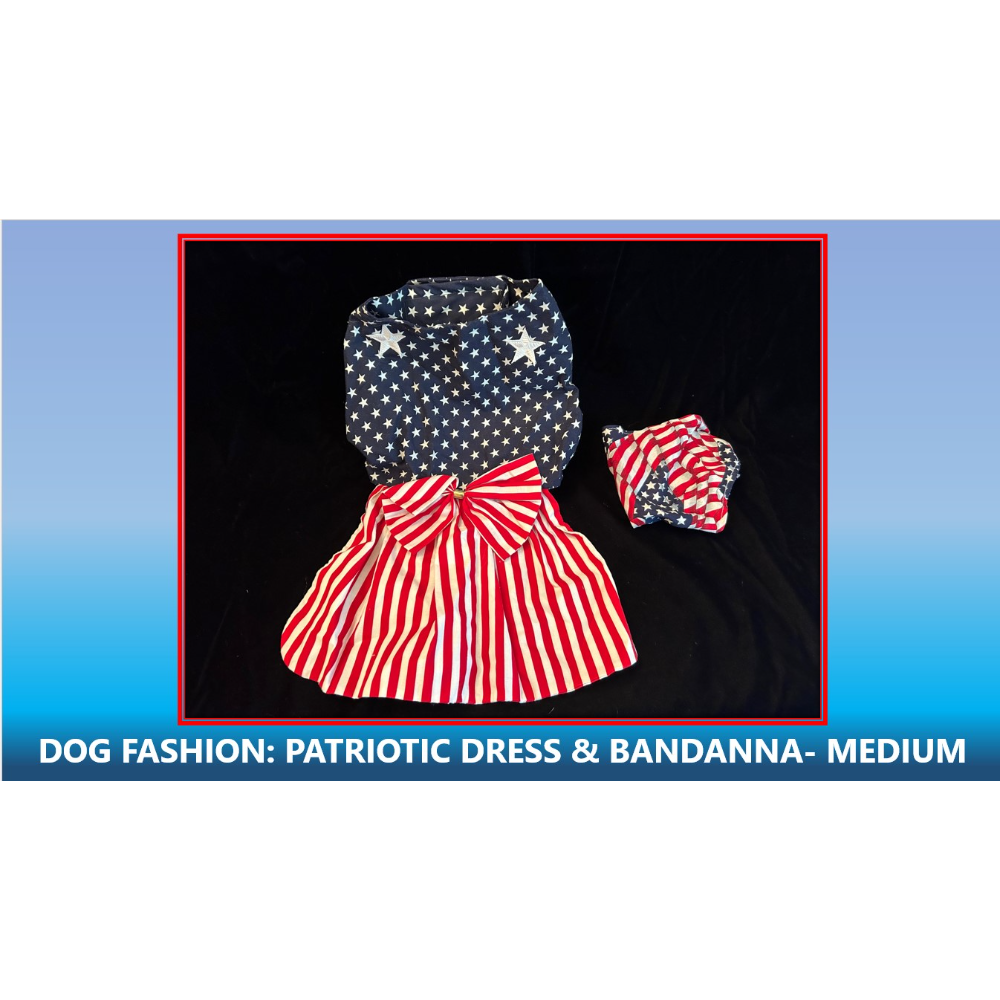 HANDMADE DOG PATRIOTIC DRESS AND BANDANNA- MEDIUM