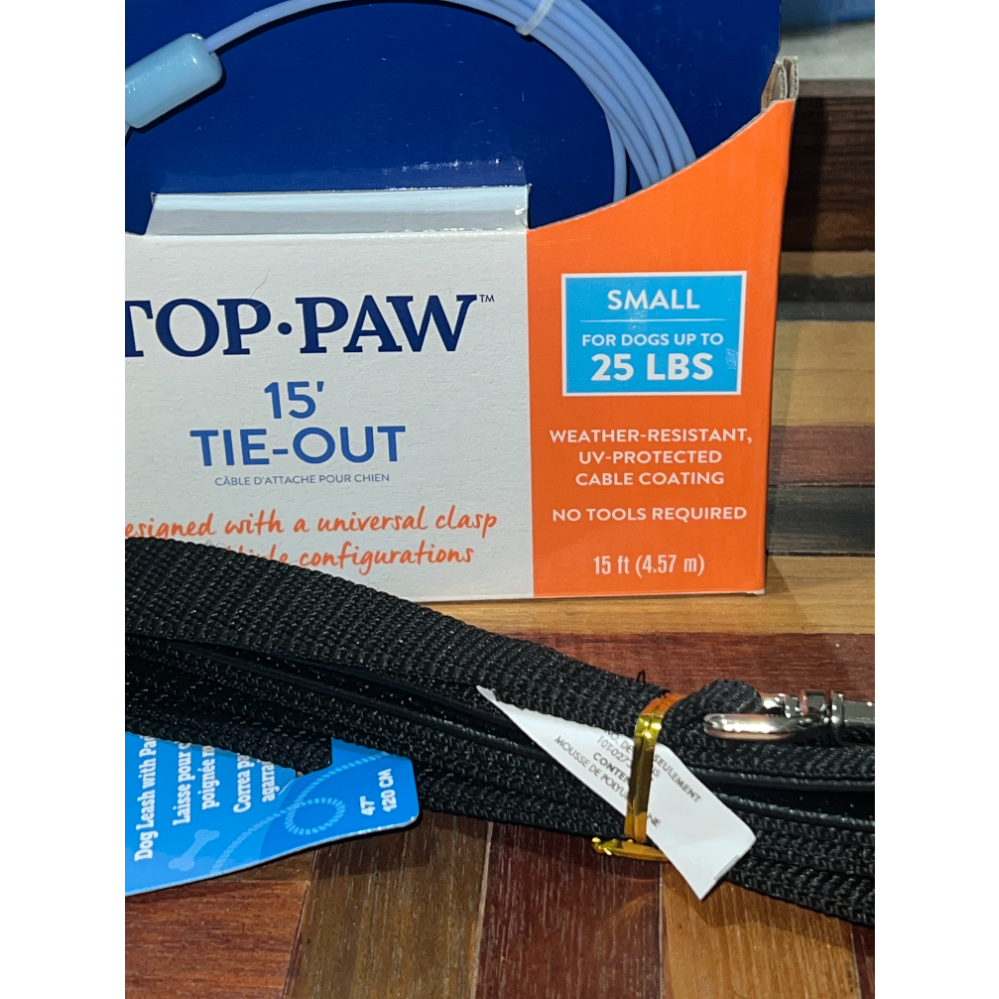 Leash and Tie Out Set