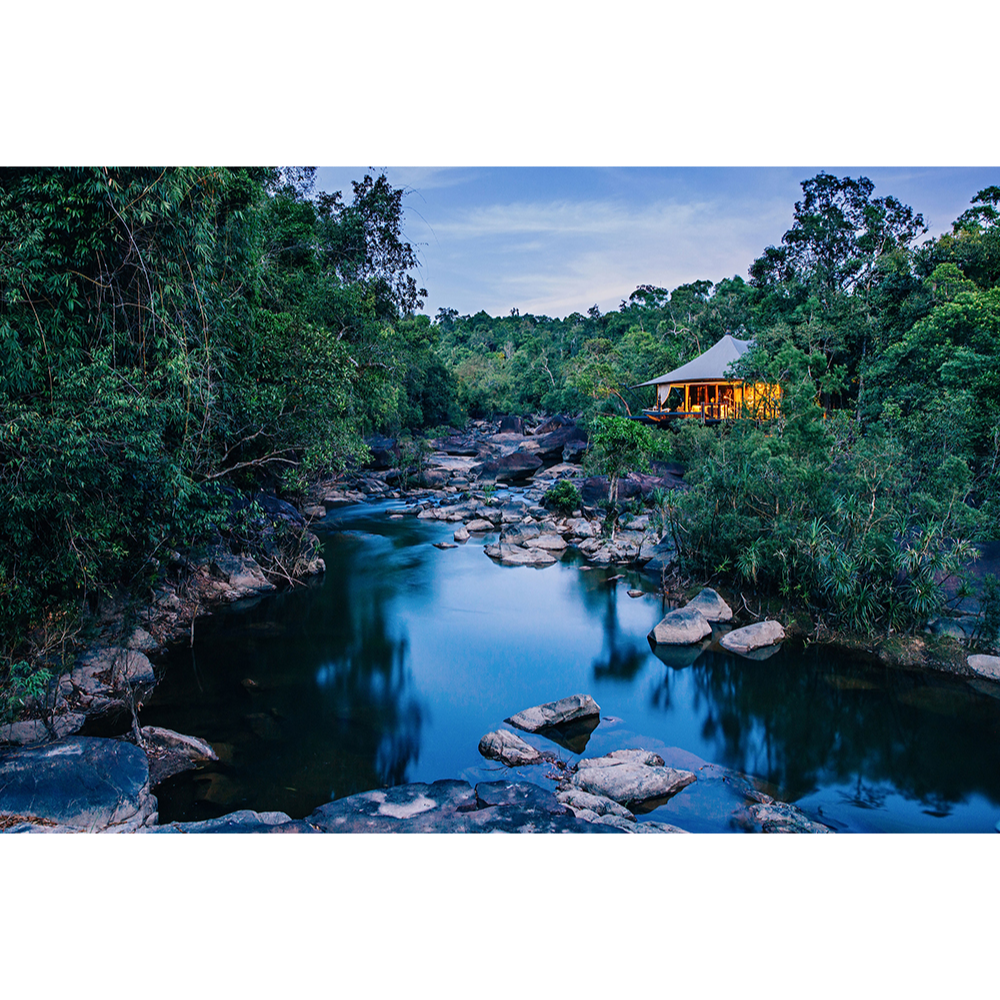 Peaceful luxury in a secluded natural forest - SHINTA MANI WILD - 3 nights in a Shinta Mani Wild Tent