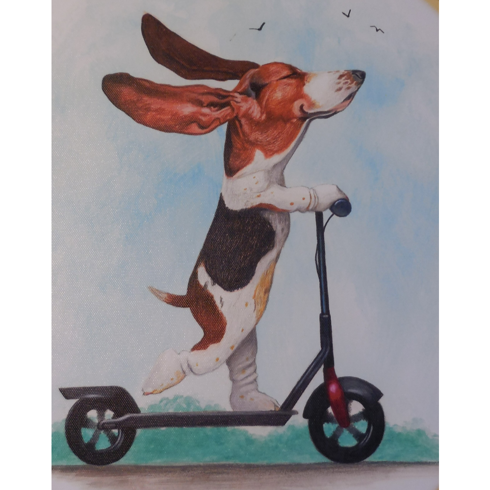 Basset on Scooter Stretched Print