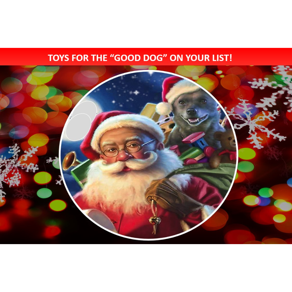 TOYS FOR THE "GOOD DOG" ON YOUR LIST!