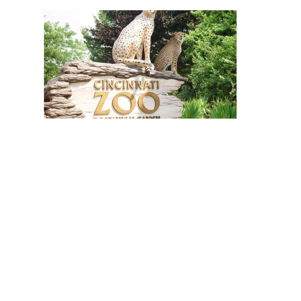 Cincinnati Zoo - Four Admissions Tickets
