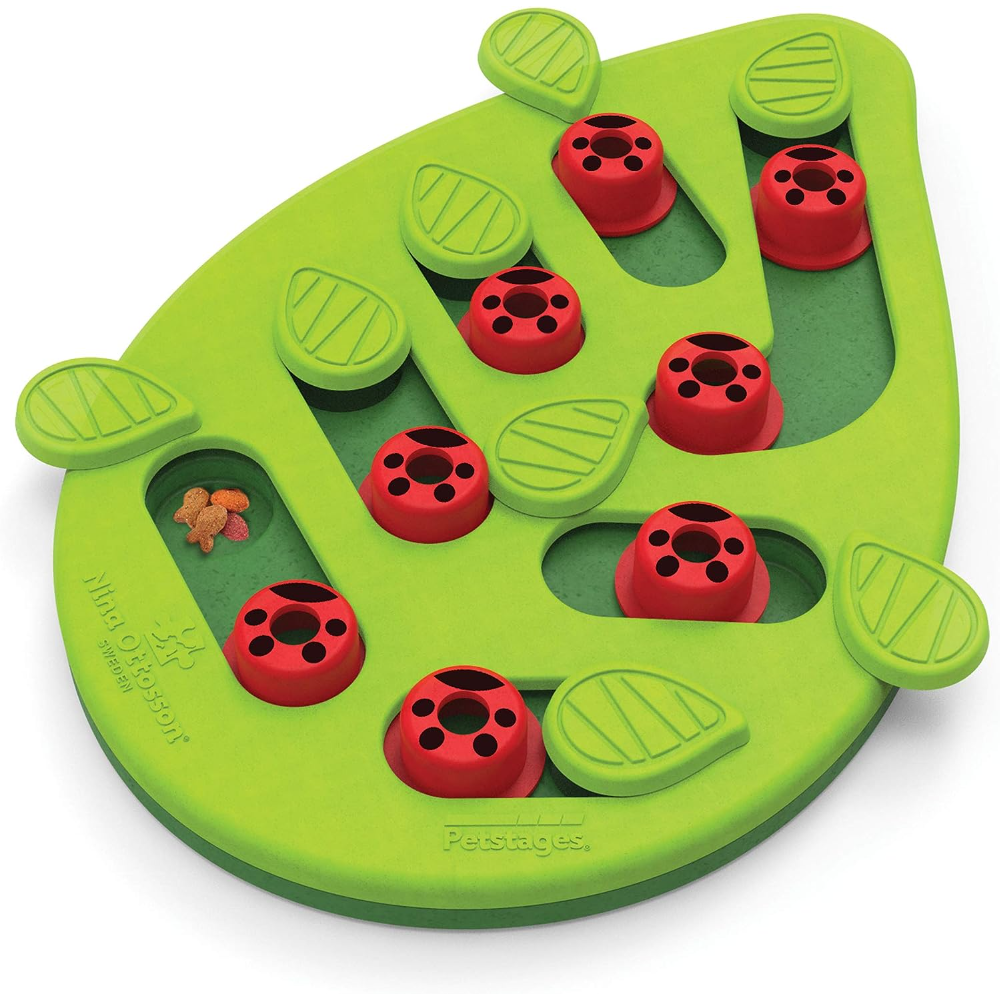 PETSTAGES Puzzle & Play Buggin Out - Green, Boxed